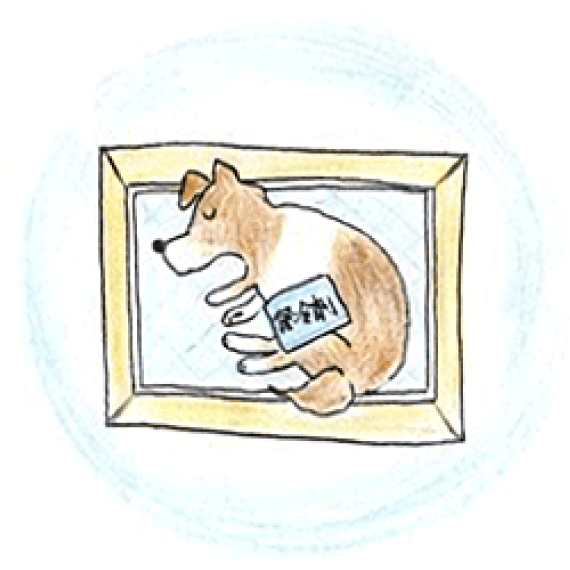 ペットが亡くなったら02