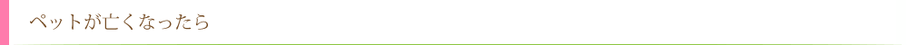 ペットが亡くなったら