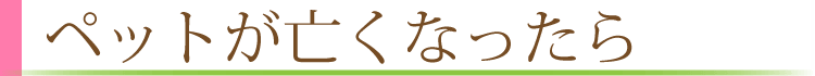 ペットが亡くなったら