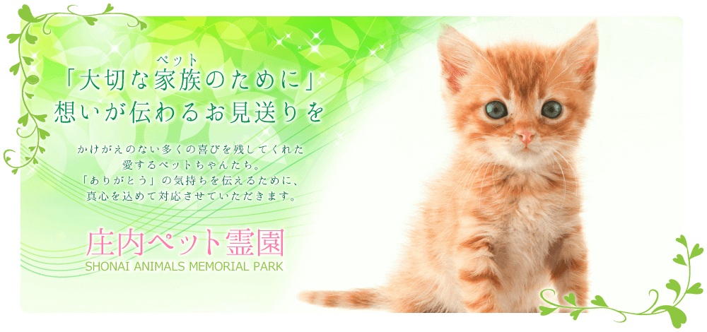 大切なペットのために想いが伝わるお見送りを