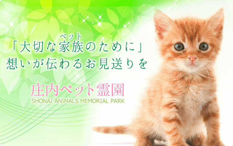 大切なペットのために想いが伝わるお見送りを